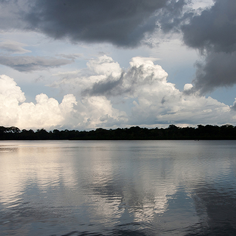 AMAZONAS 28 rio mosaico galeria_MG_0221 1.jpg